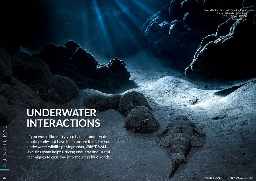 Opening page of the Underwater Interactions article in WildPlanet Photo Magazine